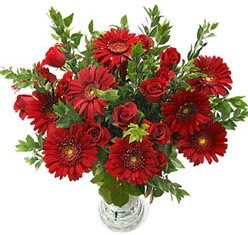 5 adet kirmizi g�l 5 adet gerbera aranjmani  Ankara Atapark Mahallesi anneler g�n� �i�ek yolla 