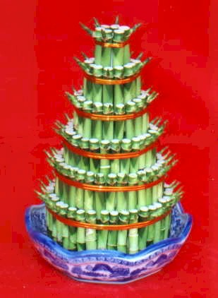 Lucky Bamboo sans melegi �i�egi  Ankara G��l�kaya Mahallesi kaliteli ucuz �i�ekler 