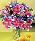  Ankara 23 Nisan Mahallesi �i�ek�i ma�azas�  Sevgi bah�esi �zel  bir tercih
