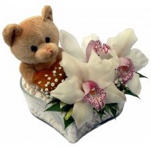  Ankara Emrah Mahallesi �i�ek g�nderme  15 cm boyutlarinda ayicik ve 1 kandil orkide