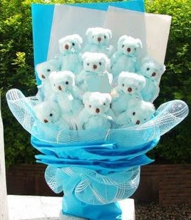 13 adet pelus ayiciktan g�rsel hediye buketi  Ankara Kanuni Mahallesi g�venli h�zl� �i�ek 