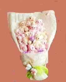 17 adet pelus ayilardan buket  Ankara Ayval� Mahallesi �i�ek g�nderme sitemiz g�venlidir 