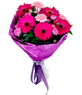  Ankara Ufuktepe Mahallesi yurti�i �i�ek sipari�i  kar���k gerbera �i�e�i buketi