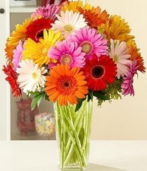  Ankara Bas�nevleri Mahallesi �i�ek sipari�i  15 adet gerbera �i�ek vazosu