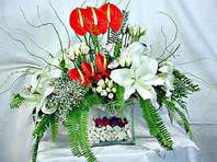  Ankara 23 Nisan Mahallesi �i�ek�i ma�azas�  Anthurim Kazablanka  g�l
