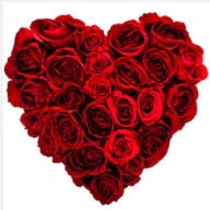  Ankara Y�kseltepe Mah �i�ek g�nderme  19 adet k�rm�z� g�lden kalp tanzimi
