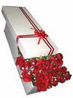  Ankara �i�ekli Mahallesi Oran 14 �ubat sevgililer g�n� 11 adet 1.kalite magnum g�ller
