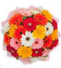 15 adet renkli gerbera buketi  Ankara Ku�ca��z Mahallesi hediye �i�ek yolla 
