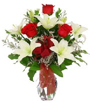 5 adet k�rm�z� g�l ve 1 dal kazablanka  Ankara Ufuktepe Mahallesi yurti�i �i�ek sipari�i 