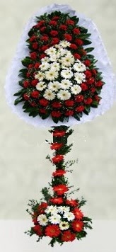  Ankara Kanuni Mahallesi g�venli h�zl� �i�ek  �ift katl� d���n a��l�� �i�e�i