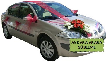 Ankara araba s�sleme  Ankara Ovac�k Mahallesi �i�ek sipari�i vermek 