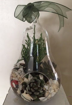 Orta boy armut terrarium 3 kakt�s  Ankara Ba�lum �i�ek sipari�i sitesi 