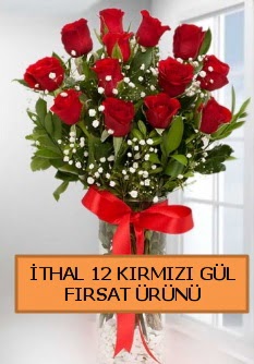  �thal k�rm�z� 12 adet kaliteli g�l  Ankara �efkat Mahallesi �i�ek online 