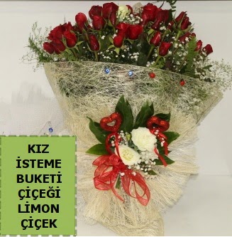 27 adet k�rm�z� g�lden k�z isteme buketi  Ankara P�narba�� Mahallesi sevgilime hediye �i�ek 