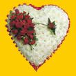  Ankara 19 May�s Mahallesi ucuz �i�ek g�nder  1.20m x 1.20m  Gerbera G�ller