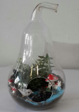 Armut orta boy cam terrarium  Ankara A�a��e�lence Mahallesi cicekciler 