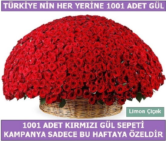 1001 Adet k�rm�z� g�l Bu haftaya �zel  Ankara A�a��e�lence Mahallesi cicekciler 