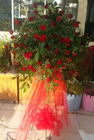 71 adet k�rm�z� g�lden ferf�rje �i�e�i  Ankara P�narba�� Mahallesi sevgilime hediye �i�ek 