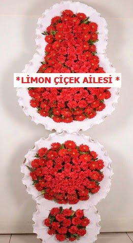 3 katl� k�rm�z� d���n a��l�� �i�e�i  Ankara Esertepe Mahallesi cicek