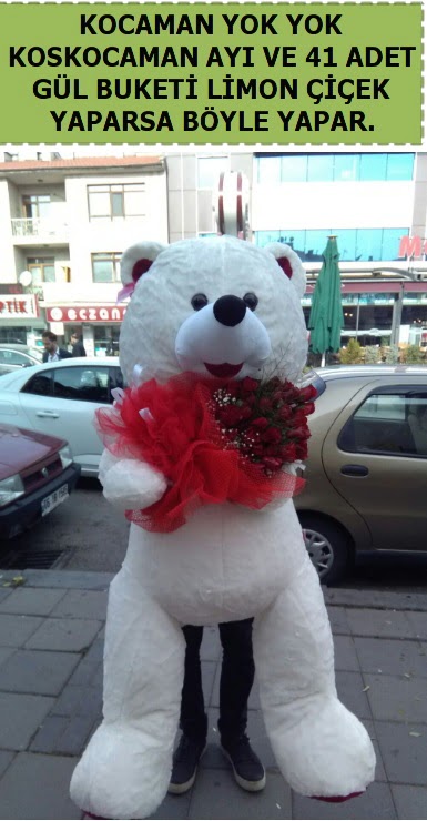 Koskocaman beyaz ay� ve 25 adet g�l  Ankara Ufuktepe Mahallesi yurti�i �i�ek sipari�i 