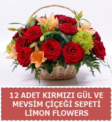 12 g�l ve mevsim �i�ekleri sepeti  Ankara Atapark Mahallesi anneler g�n� �i�ek yolla 