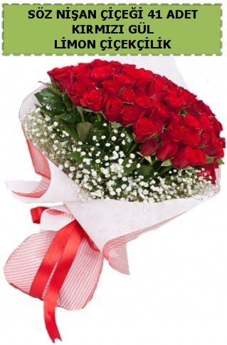 41 adet k�rm�z� g�l s�z ni�an k�z isteme �i�e�i