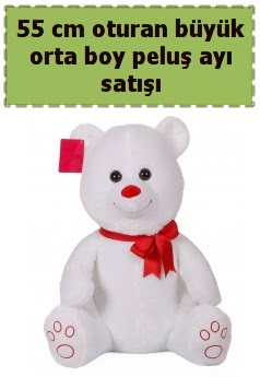 55 cm beyaz orta boy oturan pelu� ay�  Ankara Esertepe Mahallesi cicek