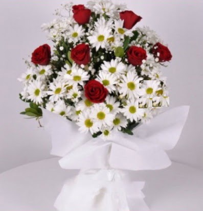 7 adet k�rm�z� g�l ve papatyalar krizantem  Ankara Kanuni Mahallesi g�venli h�zl� �i�ek 