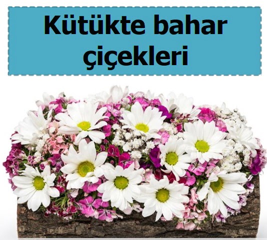 K�t�k i�erisinde k�r �i�ekleri  Ankara Etlik Mahallesi �i�ek servisi 