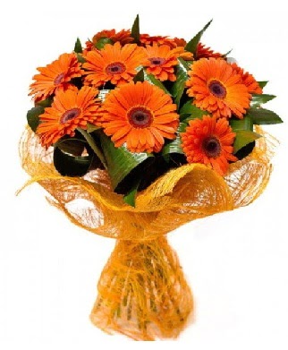 11 adet turuncu gerbera buketi  Ankara G��l�kaya Mahallesi kaliteli ucuz �i�ekler 
