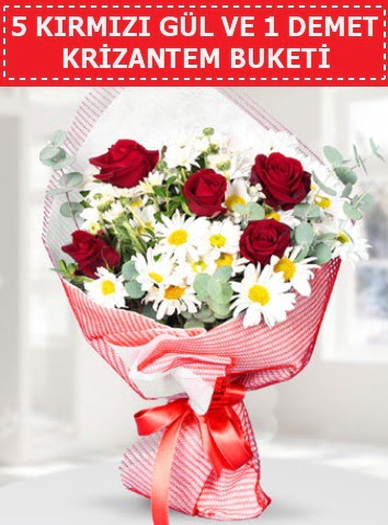 5 adet k�rm�z� g�l ve krizantem buketi  Ankara P�narba�� Mahallesi sevgilime hediye �i�ek 