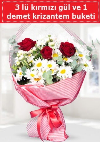 3 adet k�rm�z� g�l ve krizantem buketi  Ankara Sanatoryum �i�ek ma�azas� 